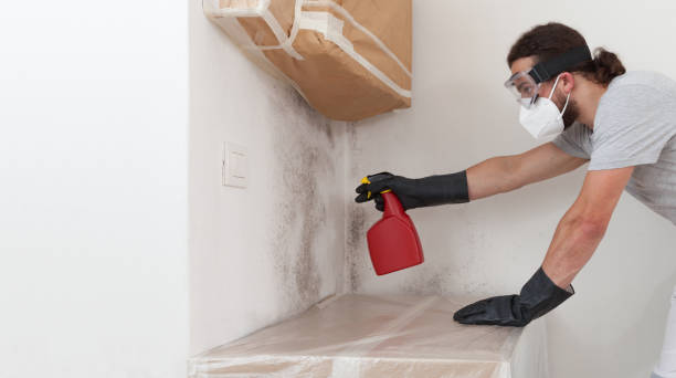 Professional Crawl Space Mold Removal technician working in Lillington, NC