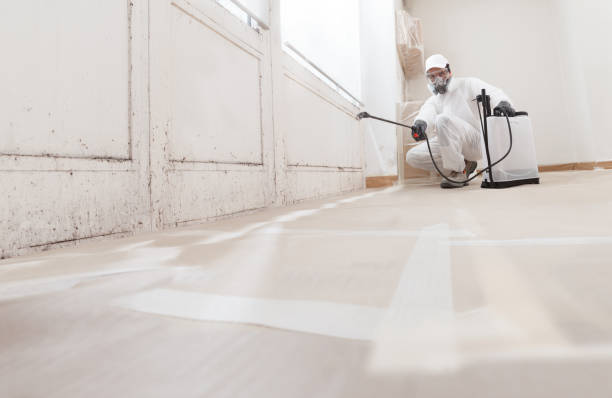 24/7 Emergency Crawl Space Mold Removal experts in Lillington, NC