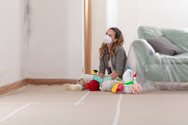 Reliable Crawl Space Mold Removal contractor in Lillington, NC by WQB Mold Removal