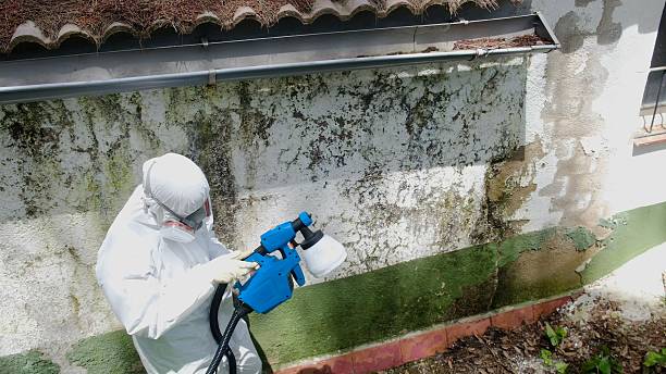 Top rated local Crawl Space Mold Removal specialists in Lillington, NC